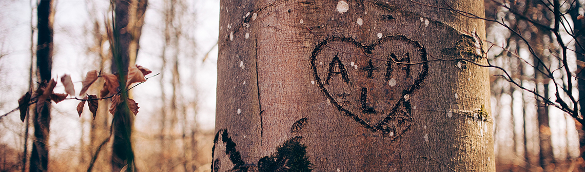 Initials carved into tree
