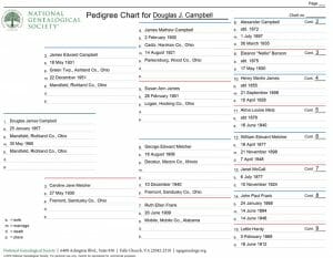 standard pedigree chart
